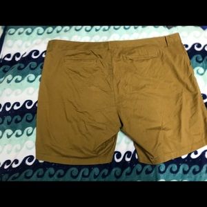 Khaki shorts